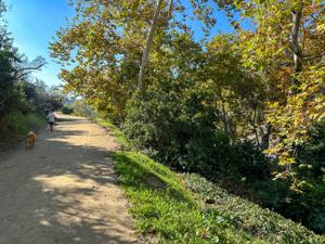 Hollywood Sign Hike 2